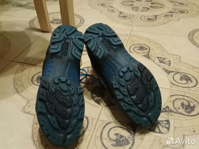 ecco biom terrain