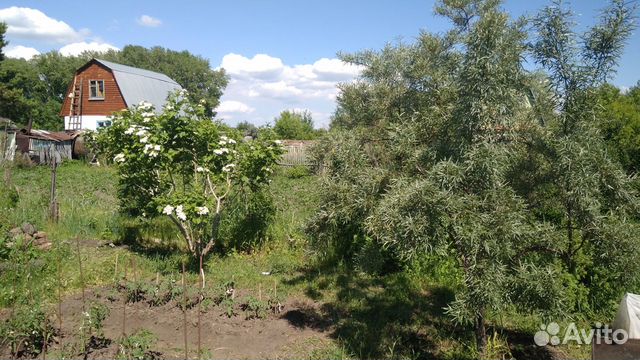 Дача 20 м² на участке 4 сот. Дача 20 м² на участке 4 сот.