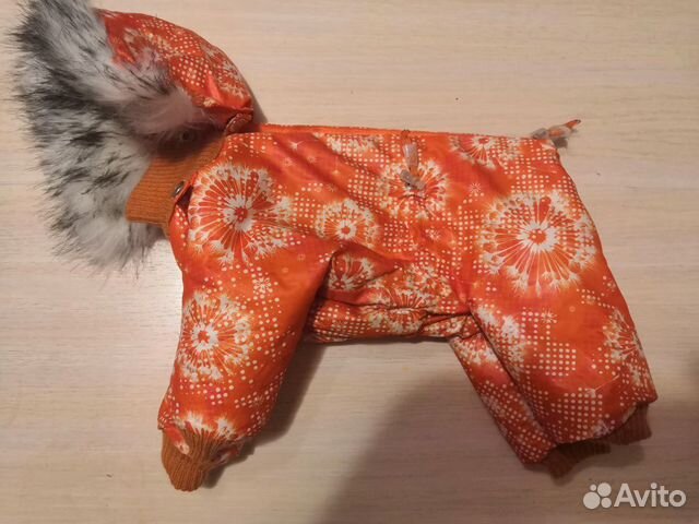 Одежда для собак