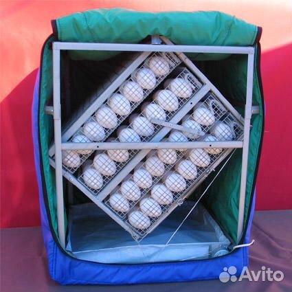 Инкубаторы для яиц тгб-280 купить на Зозу.ру - фотография № 1