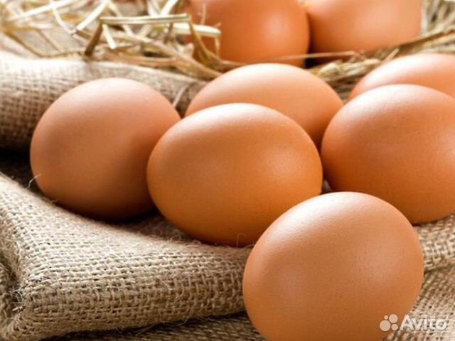 Домашнее инкубационное яйцо купить на Зозу.ру - фотография № 1