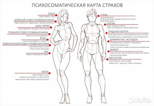 Курсы и тренги на любой вкус