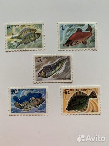 Марки ссср1983год,промысловые рыбы,чистые