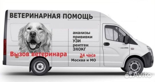 Водитель скорой ветеринарной помощи Водитель скорой ветеринарной помощи