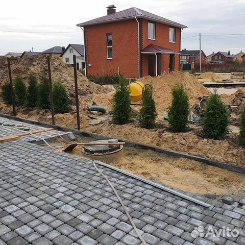 Туя брабант 200 см