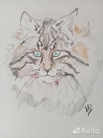 Акварель кот норвежский