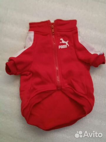 Одежда для небольших собак, толстовка