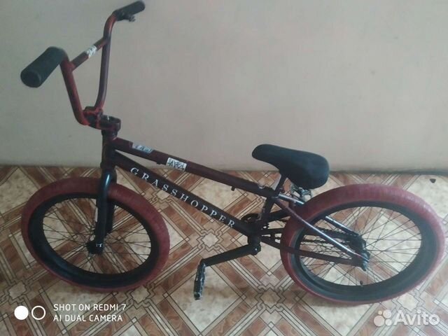 BMX Grasshopper tech team