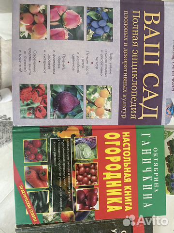 Книги, журналы для дачи