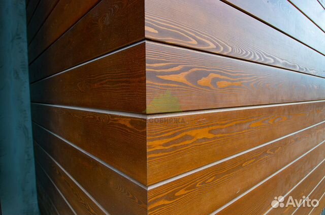 Звуки кедра - найдено 87 фотографий