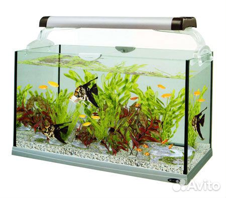 Подарочный комплект (новый)