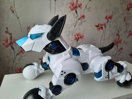 Робот Rastar 