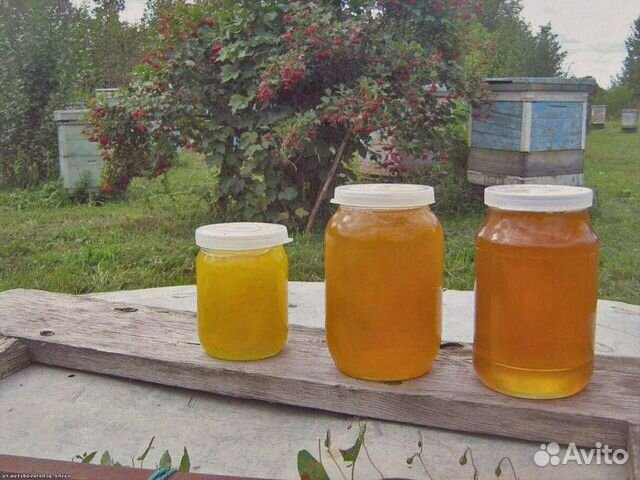 Как выглядит цветочный мед фото настоящий