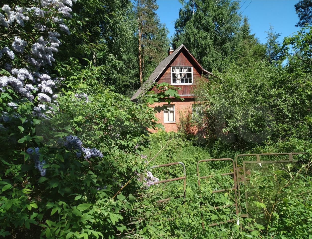 Снт петроградское синявино карта