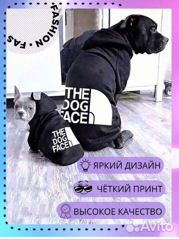 Одежда для собак