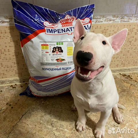 Сухой корм для щенков