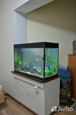 Аквариумы в наличии и на Заказ