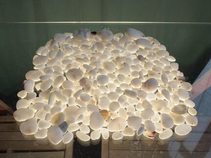 Морские камушки от