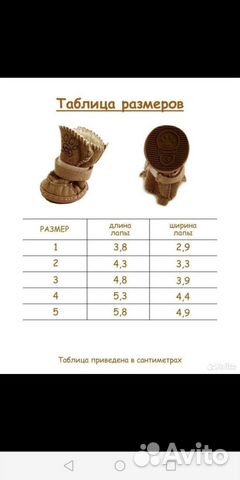 Обувь для маленьких собак