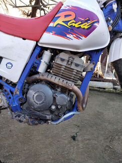 Yamaha TTR 250 raid