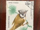 Почтовые марки СССР 1979 год Хохлатая синица