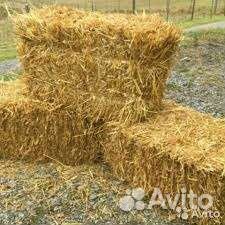 Солома,ячменная,пшеничная