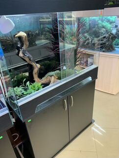 Террариум для игуаны, хамелеона, агамы, змей и т.д