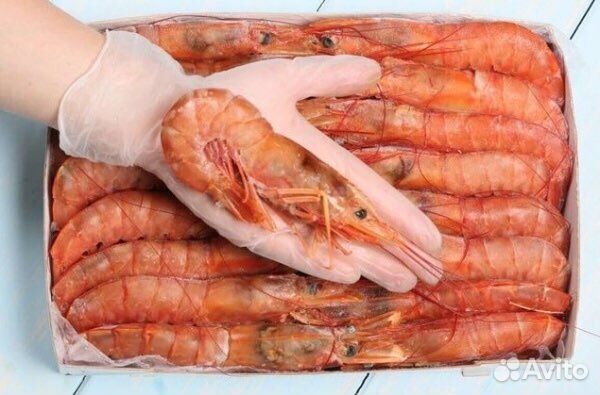 Креветки (лангустины) Maximal