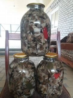 Грибы опята маринованные