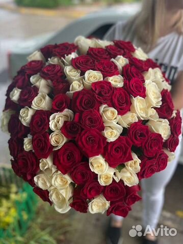 101 роза микс