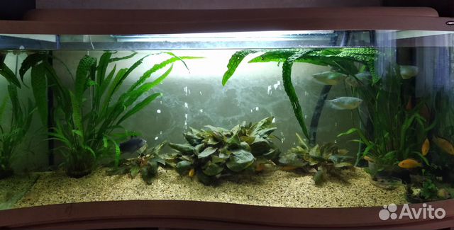 Аквариумный грунт