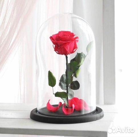 Розы в колбе на выбор