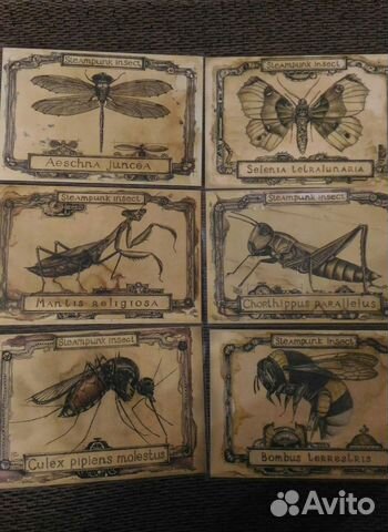 Набор открыток Steampunk Insect Стимпанк насекомые