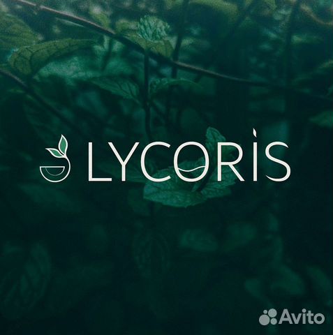 Услуги графического дизайнера