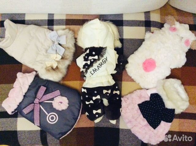 Зимняя одежда для собак XS Limargy, Boris house