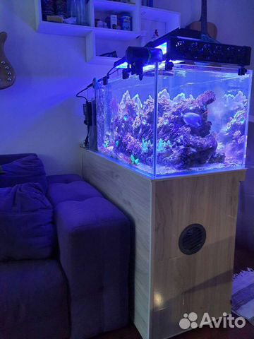 Морской аквариум полный комплект