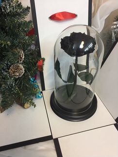 Роза в колбе «Чёрная» опт и розница