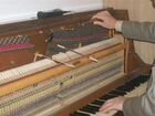 Профессиональная настройка фортепиано и роялей