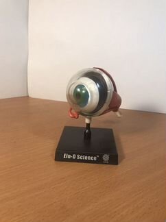 Модель глаза человека