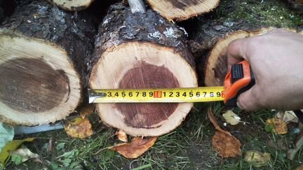 Древесина яблони, свежая