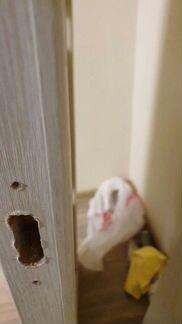 Полотно дверное белёный дуб. с остеклением и без