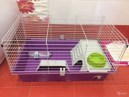 Клетка для кролика морской свинки ежа
