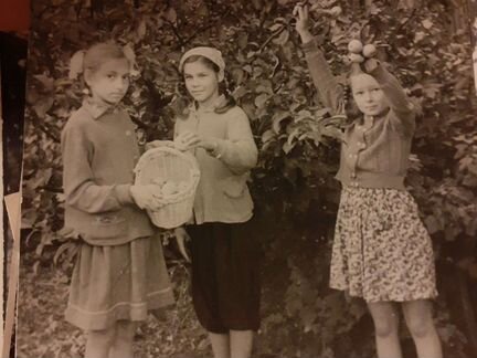 Фотографии о жизни пионеров 1940-1960 годов