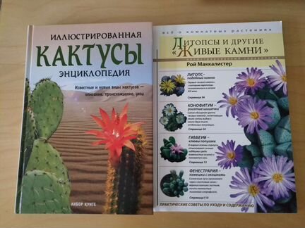 Кактусы литопсы растения Энциклопедия справочник