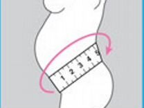 Как узнать размер живота. Нормы размера окружности живота при беременности. Как узнать размер живота. Размер вдм при беременности по неделям. Бандаж для беременных orlett ms-96.