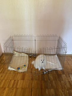 Варьер для собак + поддон