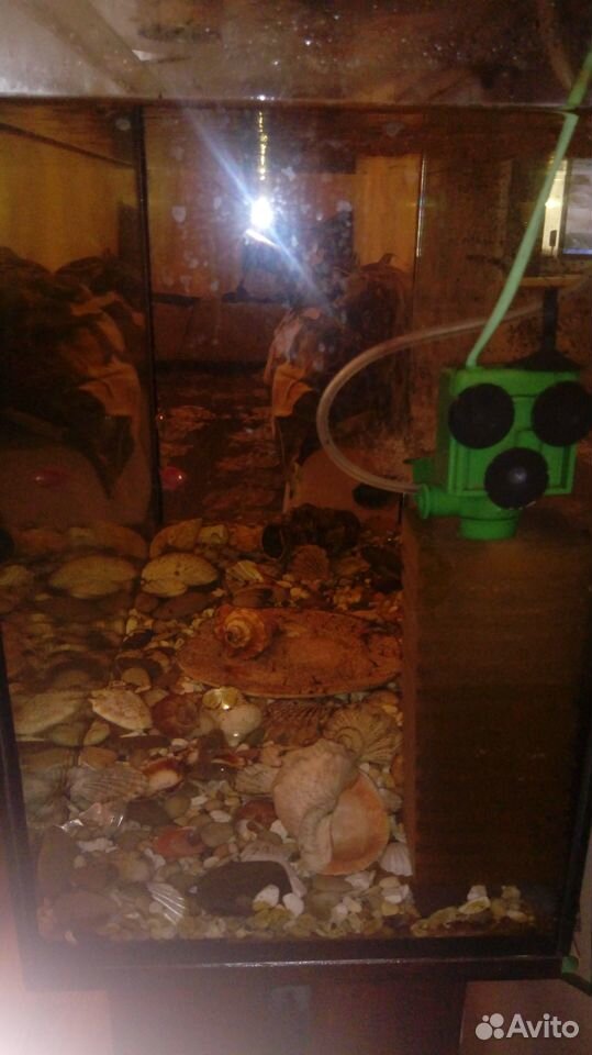 Аквариум