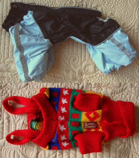 Комбинезон Собачья Одежка-Куртка для Чихуа и др N3