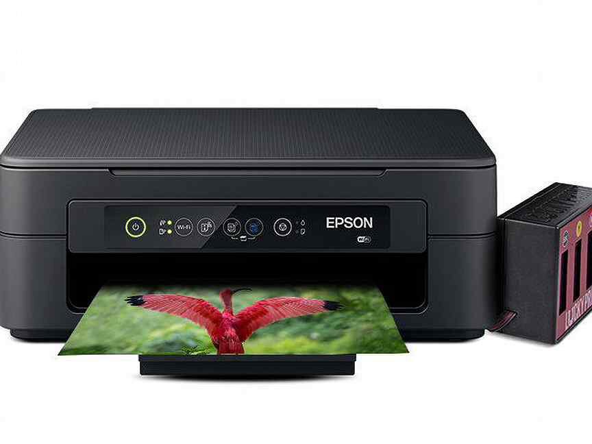 Цветной принтер струйный недорого. МФУ Epson expression Home XP-2100. Принтер Epson 351. Epson XP-2100 чернила. МФУ Эпсон с СНПЧ.