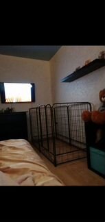 Загон для собак